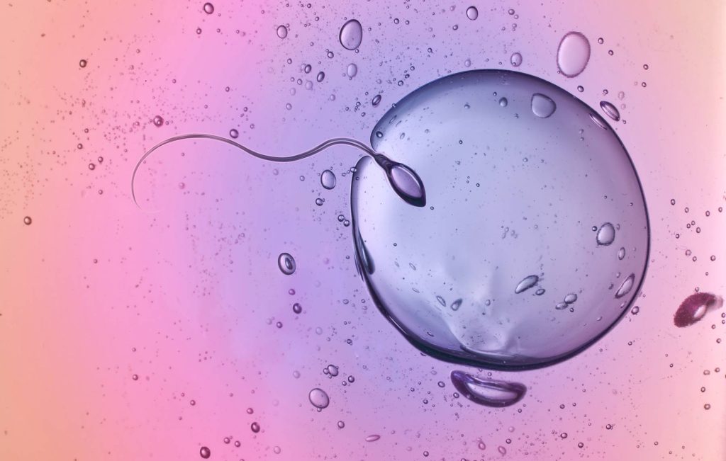 Fertility treatments