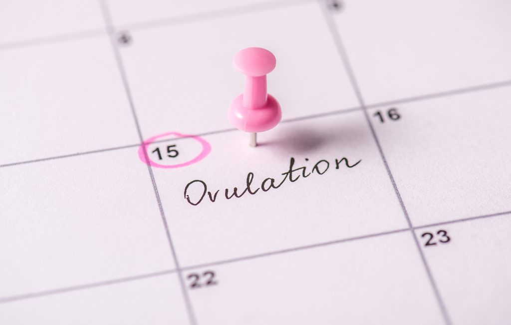 Ovulation induction at The Fertility & Gynaecology Academy