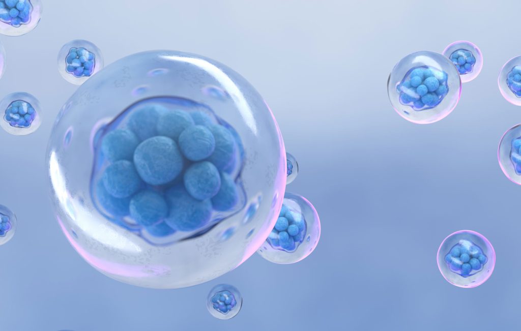 Time lapse imaging (embryoscope)