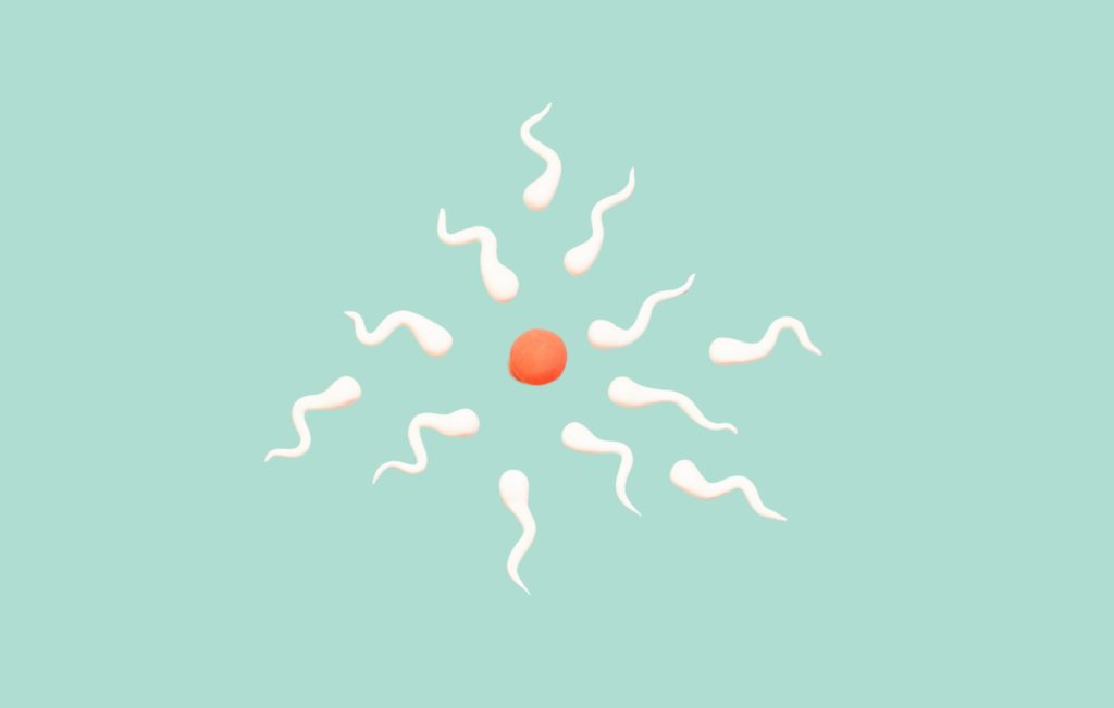 Male fertility tests