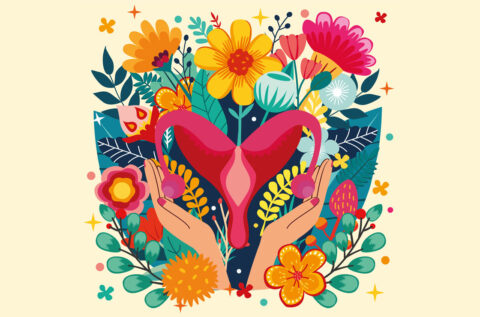 What is the ovarian reserve and why does it matter?